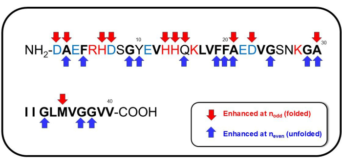 figure-results-11 Protein sequence diagram with folded/unfolded enhancements, showing amino acid positions and structure.
