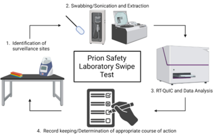 Prion safety test process: site identification, swabbing/sonication, RT-QuIC analysis, record keeping.