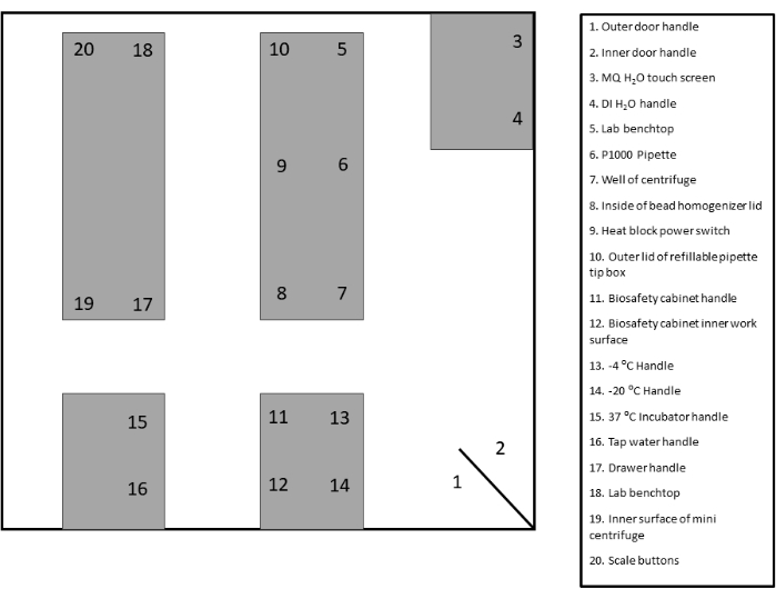 Laboratory layout diagram; key equipment positions and work surfaces, essential for lab workflows.