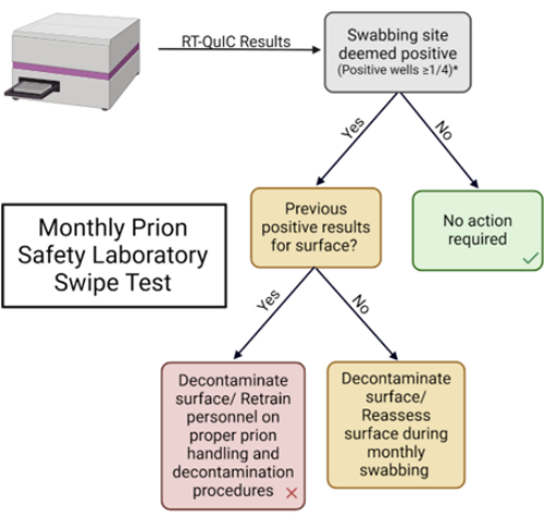 Prion lab safety test flowchart; RT-QuIC results, decontamination decision process.
