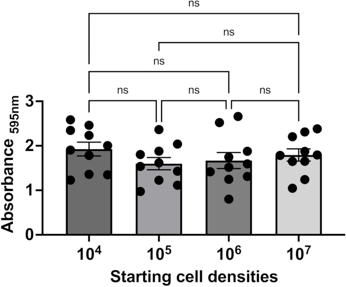 Bar chart showing absorbance at 595nm for different starting cell densities; ns denotes non-significance.