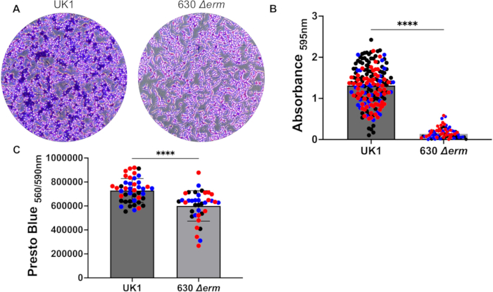 Cell viability assay results; microscopy, absorbance 595nm, Presto Blue 560/590nm comparative analysis.