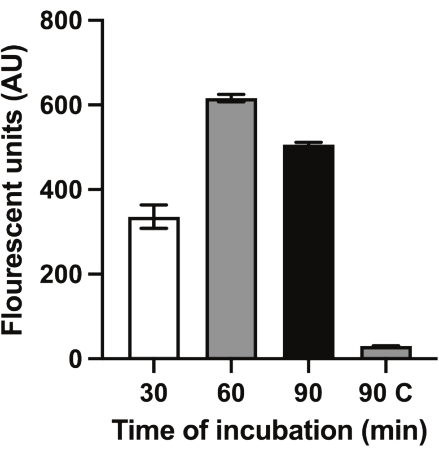 Bar chart showing fluorescence units over incubation time in enzyme activity experiment.