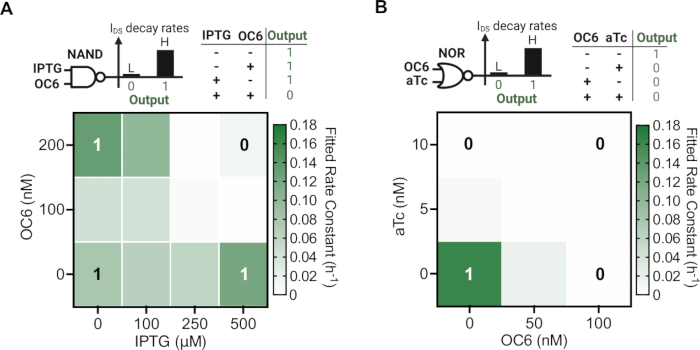 figure-results-5 Synthetic biology logic gates NAND/NOR diagrams showing IPTG/OC6 and OC6/aTc input-output chart analysis.