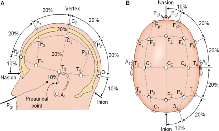 figure-protocol-1 Electrode placement diagram, 10-20 system, EEG, top and side view, brain activity monitoring.