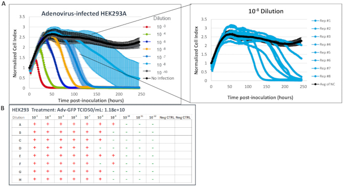 figure-results-3 Adenovirus-infected HEK293A cell growth, dilution effect; chart shows normalized cell index over time.