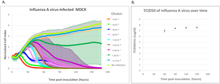 figure-results-5 Influenza A virus growth over time; A. cell index graph, B. TCID50 chart; viral infection analysis.