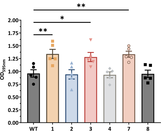 Bar graph illustrating enzyme activity assay results, showing OD595 measurements for samples WT, 1-8.