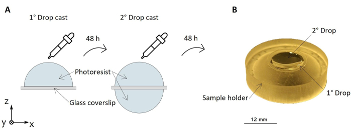 figure-results-1