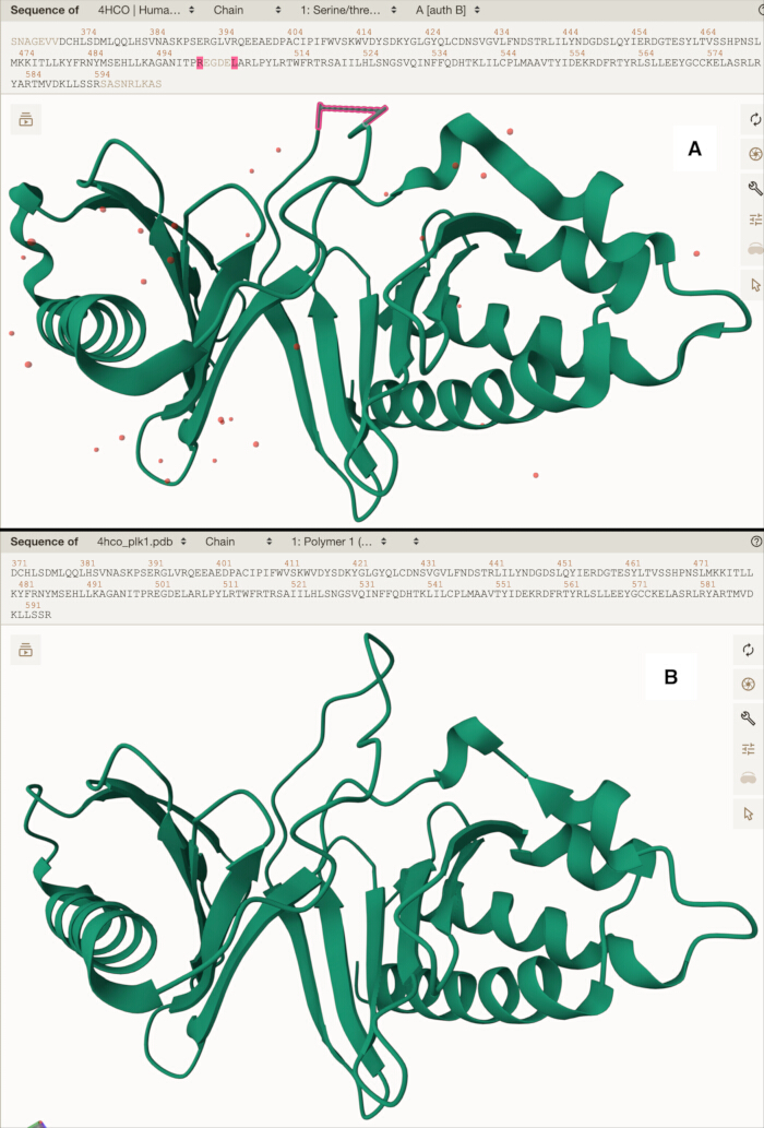 Protein structure diagram, PDB chain sequence, 3D conformation, molecular biology analysis.