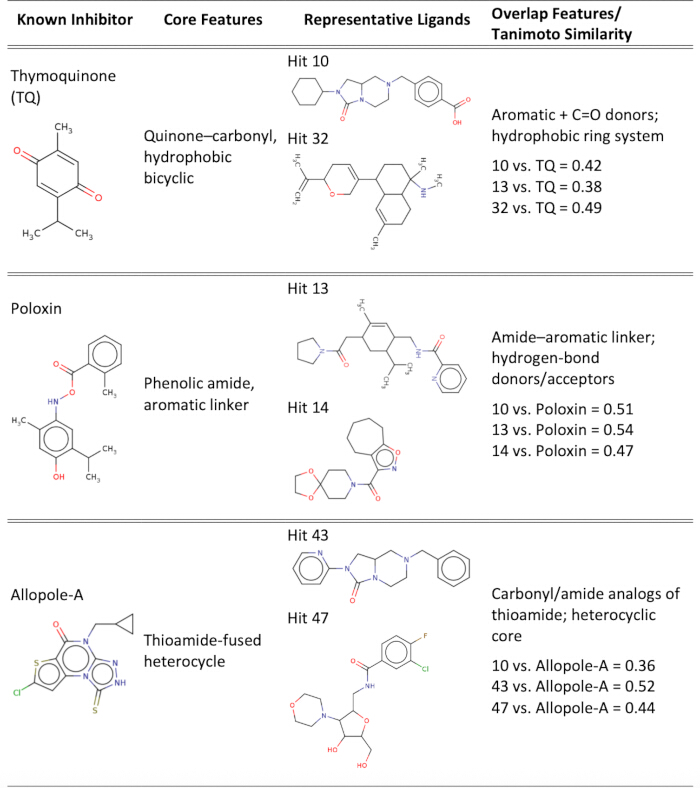 Chemical inhibitor comparison chart showing structures, core features, ligands, and similarities.