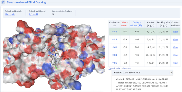 Structure-based blind docking; molecular surface diagram; protein-ligand interactions analysis.