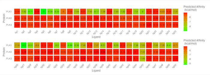 Protein-ligand binding affinity heatmap; predicted kcal/mol values; affinity analysis chart.
