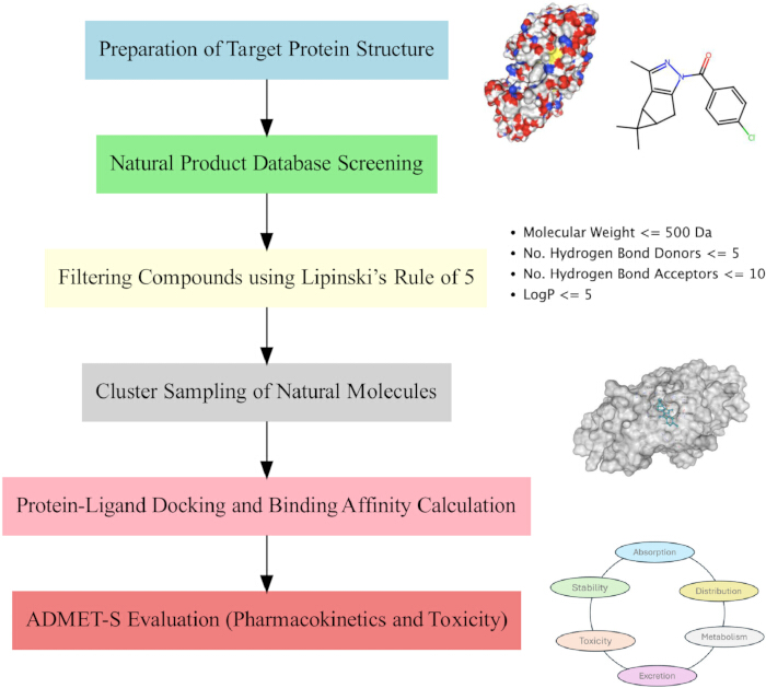 Protein-ligand docking process diagram; Lipinski's Rule, ADMET analysis, pharmacokinetics study.