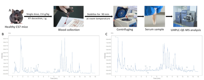 CS7 mice serum analysis; blood collection, centrifugation, UHPLC-QE-MS. Chromatogram results shown.