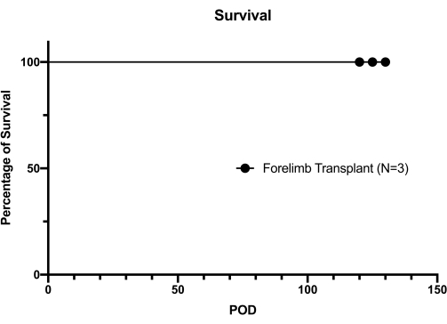 figure-results-4 Survival graph, forelimb transplant study, percentage vs. post-operative days (POD).