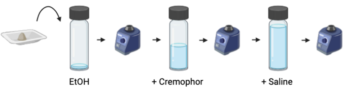 figure-results-1 Drug solubilization process diagram; EtOH, Cremophor, Saline mixing sequence for solution prep.