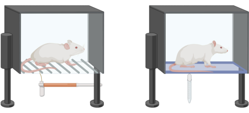 figure-results-2 Behavioral analysis with rodent test chambers; setup shows stress measurement systems.