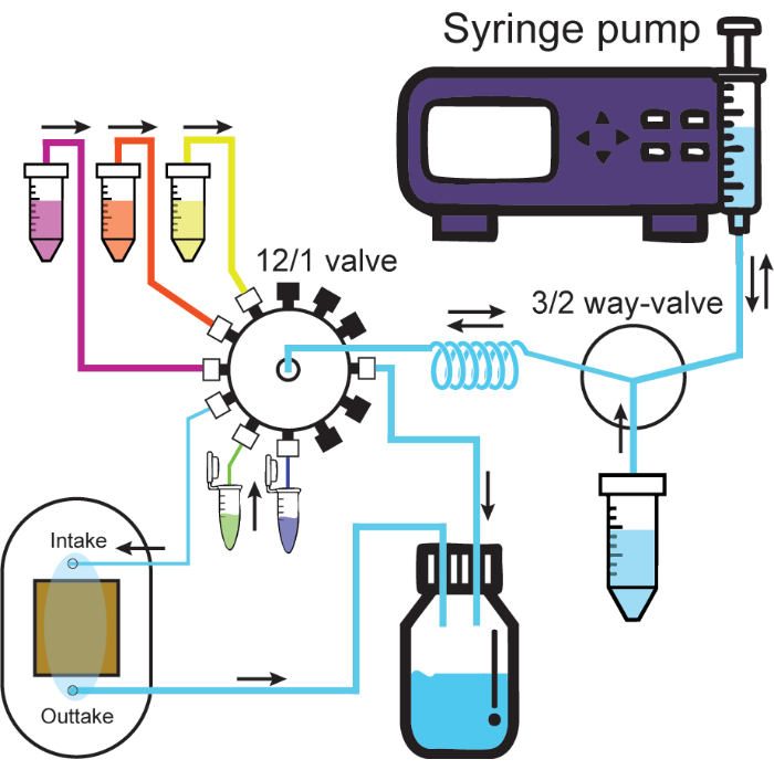 figure-protocol-2