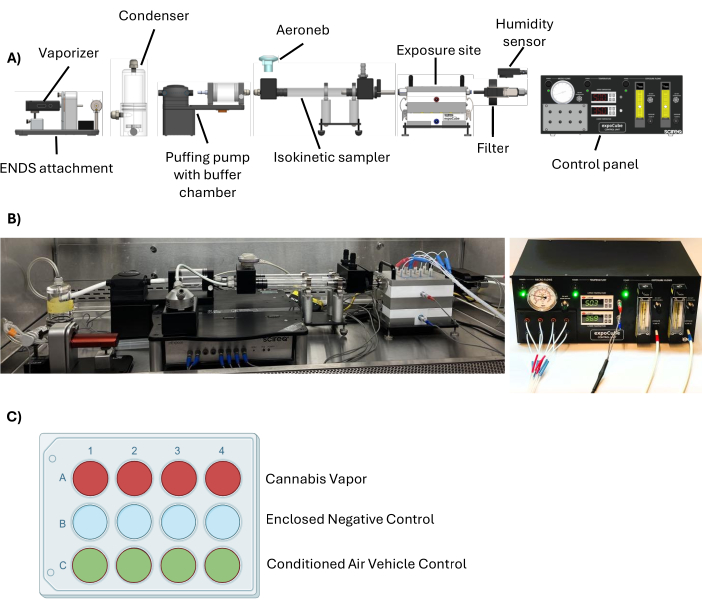Cannabis vapor exposure setup diagram and equipment with experimental control labeling.