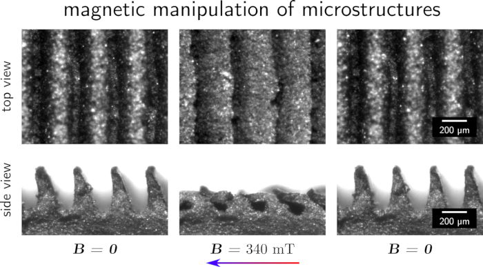 Magnetic microstructure manipulation; top/side views; effect at B=0 mT, B=340 mT; microscopy analysis.