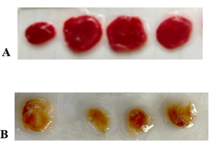 figure-results-7 Tissue sample analysis, experimental result, protein denaturation comparison, microscopy image.