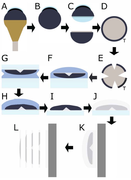 figure-results-1 Retinal prosthesis fabrication process, diagram showing steps of nano-layer deposition and assembly method.