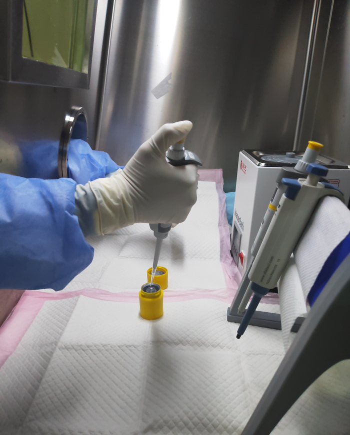 figure-results-6 Pipetting in sterile lab setup; glove, micropipette for precise liquid transfer in research.