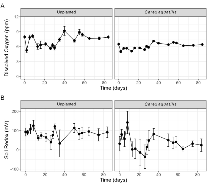 Dissolved oxygen, soil redox levels over time; graph compares unplanted vs. Carex aquatilis conditions.