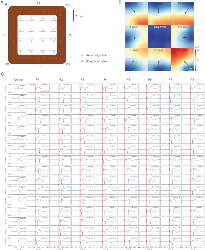 figure-results-11 figure-results-11