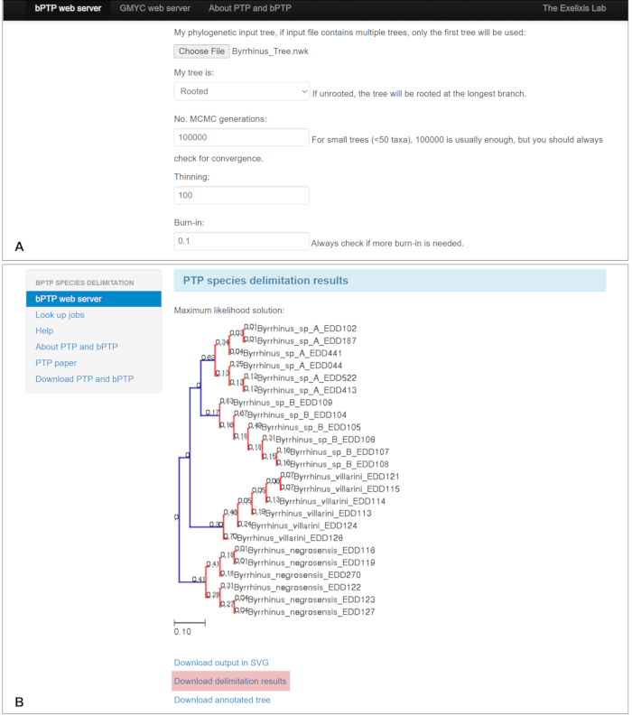 figure-protocol-6