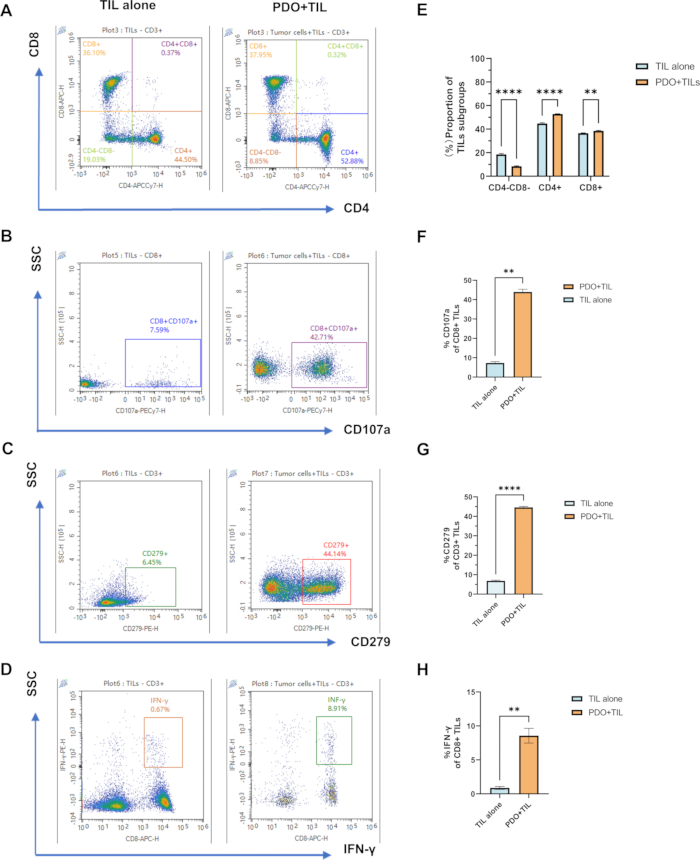 比较TIL亚群、CD107a、CD279、IFN-γ表达的流式细胞术散点图和图表。