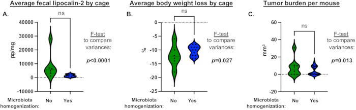 figure-results-5 Violin plots showing microbiota homogenization effects on lipocalin-2, body weight, and tumor burden.