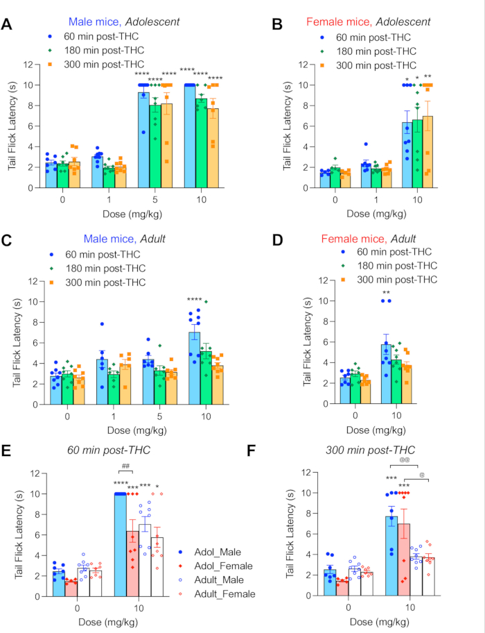 figure-results-6 Tail flick latency graphs, THC dose effect on adolescent/adult mice, male/female comparison over time.