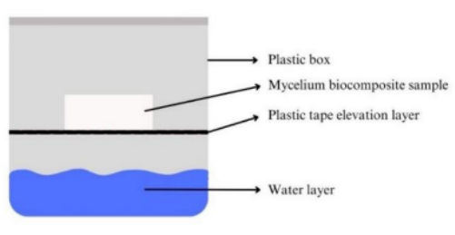 Static equilibrium diagram, mycelium biocomposite flotation in water, labeled layers and materials.