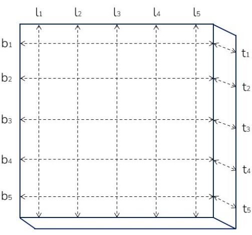 Matrix diagram showing 5x5 grid setup; rows labeled b1-b5, columns l1-l5, t1-t5.