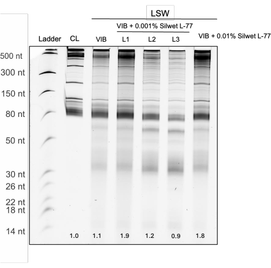 Electrophoresis result, diagram, nucleic acid separation, lane comparison, concentration effect analysis.