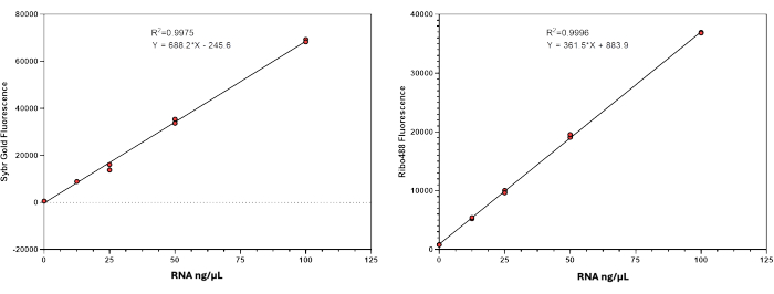 RNA fluorescence calibration graphs; Sybr Gold and RiboGreen correlation line equations; data analysis.