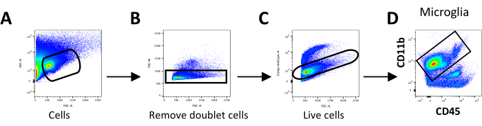 Flow cytometry diagram showing cell gating process for microglia selection in CD11b, CD45 analysis.