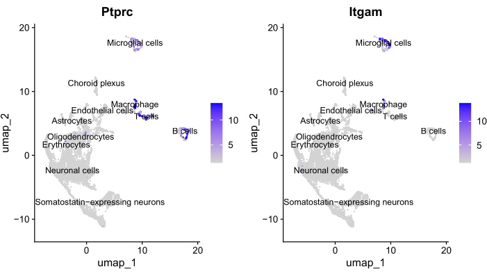 UMAP plot, scRNA-seq data, Ptprc vs. Itgam expression, cell type distribution, bioinformatics analysis.