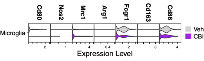Microglia gene expression violin plot, comparing Veh and CBI treatments for Cd80, Nos2, Fcgr1.