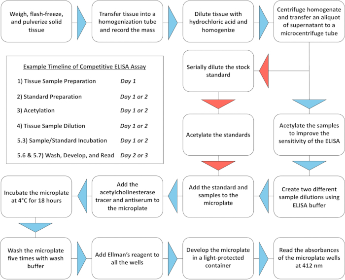 Competitive ELISA assay workflow diagram; tissue preparation, dilution, and incubation steps outlined.