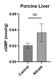 Porcine liver cGMP level bar graph; control vs nitrate group analysis; biological data comparison.