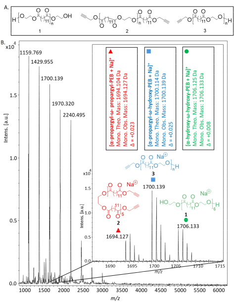 figure-results-7 Polymer mass spectrometry analysis; chemical structure diagram and m/z spectrum with peak annotations.