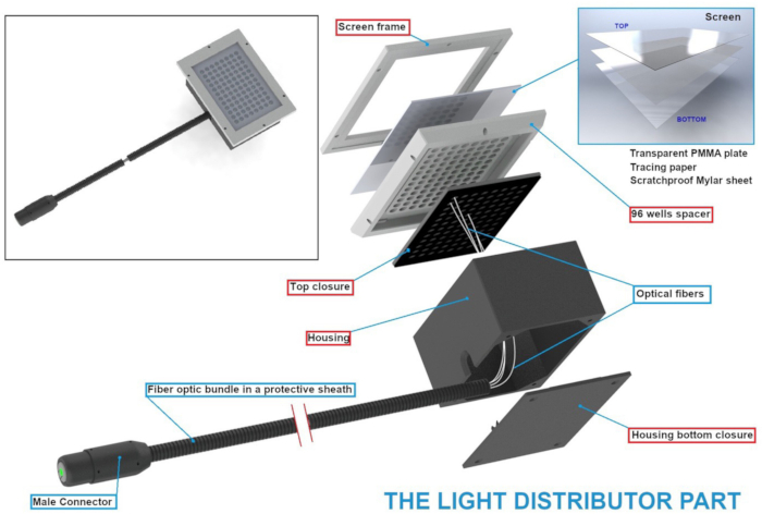 figure-protocol-2 Light distributor diagram featuring optical fibers, PMMA screen, fiber optic bundle, and connector setup.