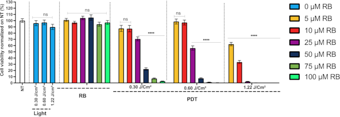 figure-results-3 Bar chart, photodynamic therapy (PDT) results, cell viability vs light dose, RB concentrations.