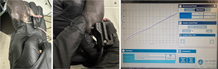 Rodent grip strength test setup with results chart; measures forelimb strength using force sensor.