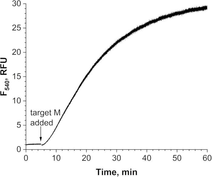 Fluorescence intensity vs. time graph; target M addition; kinetic study; RFU measurement.