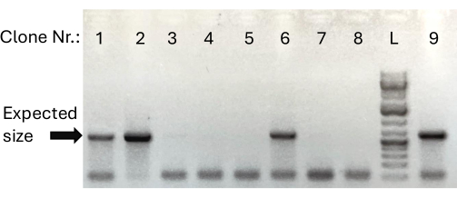 figure-results-2 figure-results-2