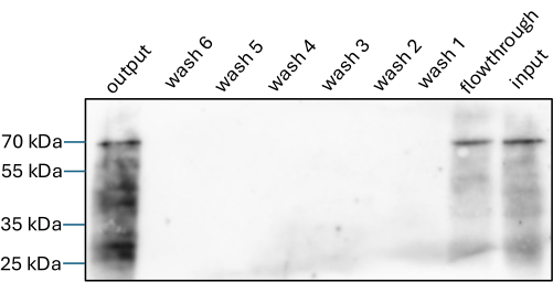 figure-results-6 figure-results-6